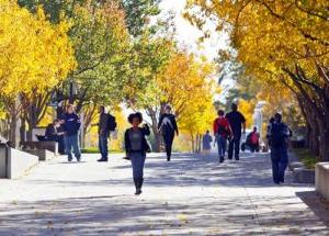 人们走在Auraria校园里，周围是秋天的彩色树木.